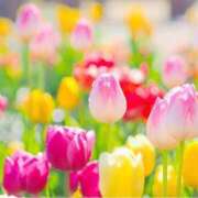 ヒメ日記 2026/01/06 08:51 投稿 れのん 逢って30秒で即尺