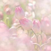 ヒメ日記 2026/01/12 05:36 投稿 れのん 逢って30秒で即尺