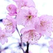 ヒメ日記 2026/02/23 12:27 投稿 れのん 逢って30秒で即尺