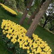 ヒメ日記 2026/02/24 08:15 投稿 れのん 逢って30秒で即尺