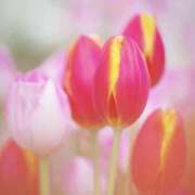 ヒメ日記 2026/02/26 08:38 投稿 れのん 逢って30秒で即尺