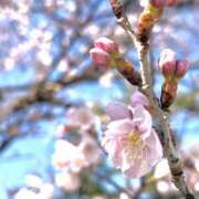 ヒメ日記 2026/03/07 10:59 投稿 れのん 逢って30秒で即尺