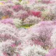 ヒメ日記 2026/03/08 17:26 投稿 れのん 逢って30秒で即尺