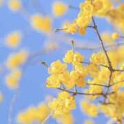 ヒメ日記 2026/03/13 12:35 投稿 れのん 逢って30秒で即尺