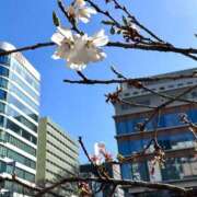 ヒメ日記 2026/03/15 06:41 投稿 れのん 逢って30秒で即尺