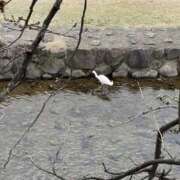 ヒメ日記 2026/03/20 10:35 投稿 れのん 逢って30秒で即尺