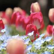 ヒメ日記 2026/03/24 13:11 投稿 れのん 逢って30秒で即尺