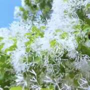 ヒメ日記 2026/04/08 14:24 投稿 れのん 逢って30秒で即尺