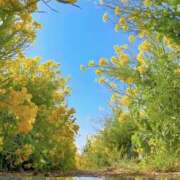 ヒメ日記 2026/04/10 10:21 投稿 れのん 逢って30秒で即尺