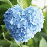 ヒメ日記 2026/05/16 15:57 投稿 れのん 逢って30秒で即尺