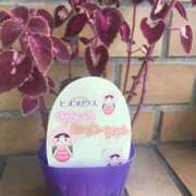 ヒメ日記 2024/12/30 13:16 投稿 中田夫人 博多人妻城