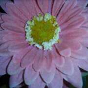 ヒメ日記 2025/02/09 13:27 投稿 中田夫人 博多人妻城