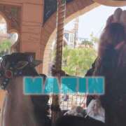 ヒメ日記 2025/09/04 23:30 投稿 まりん 茨城神栖ちゃんこ