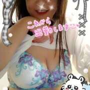 ヒメ日記 2025/10/12 12:11 投稿 平野 西船橋おかあさん