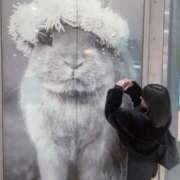 ヒメ日記 2024/12/17 15:09 投稿 矢崎くう ウルトラハピネス