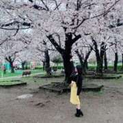 ヒメ日記 2025/03/29 22:44 投稿 矢崎くう ウルトラハピネス