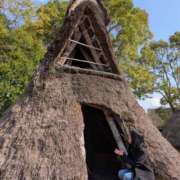 ヒメ日記 2025/03/30 20:13 投稿 矢崎くう ウルトラハピネス