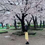 ヒメ日記 2025/04/17 23:25 投稿 矢崎くう ウルトラハピネス