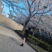 ヒメ日記 2025/04/28 12:05 投稿 矢崎くう ウルトラハピネス