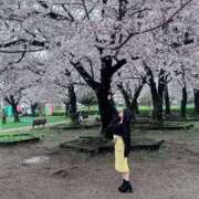 ヒメ日記 2025/05/03 01:26 投稿 矢崎くう ウルトラハピネス