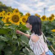 ヒメ日記 2025/07/26 11:23 投稿 矢崎くう ウルトラハピネス