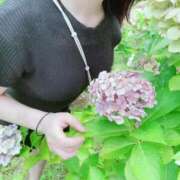 ヒメ日記 2025/08/02 11:51 投稿 矢崎くう ウルトラハピネス