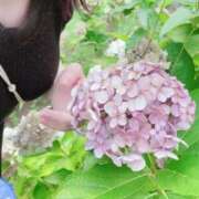 ヒメ日記 2025/09/02 12:30 投稿 矢崎くう ウルトラハピネス