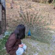 ヒメ日記 2026/03/22 14:09 投稿 矢崎くう ウルトラハピネス