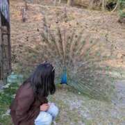 ヒメ日記 2026/03/31 02:19 投稿 矢崎くう ウルトラハピネス