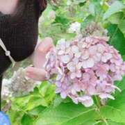 ヒメ日記 2026/04/03 08:56 投稿 矢崎くう ウルトラハピネス