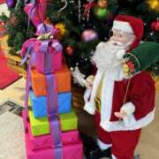 ヒメ日記 2024/12/05 15:15 投稿 みみ チョコメロ