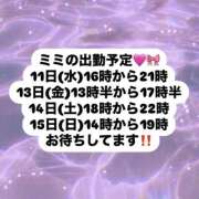 ヒメ日記 2024/12/08 13:27 投稿 みみ チョコメロ