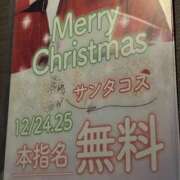 ヒメ日記 2024/12/17 19:59 投稿 みみ チョコメロ