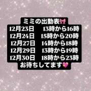 ヒメ日記 2024/12/22 14:21 投稿 みみ チョコメロ
