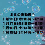 ヒメ日記 2025/01/12 17:47 投稿 みみ チョコメロ