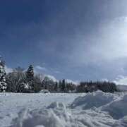 ヒメ日記 2025/02/07 17:38 投稿 みみ チョコメロ