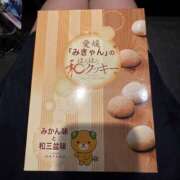 ヒメ日記 2025/02/16 23:31 投稿 みみ チョコメロ