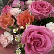 ヒメ日記 2025/04/02 18:27 投稿 みみ チョコメロ