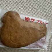 ヒメ日記 2025/04/15 19:07 投稿 みみ チョコメロ