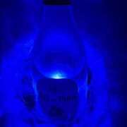 ヒメ日記 2025/07/07 20:04 投稿 みみ チョコメロ