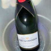 ヒメ日記 2025/08/02 13:50 投稿 みみ チョコメロ