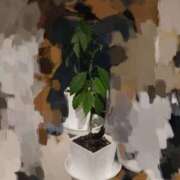 ヒメ日記 2025/11/15 10:21 投稿 はな 夜這専門発情する奥様たち 谷九店