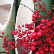 ヒメ日記 2026/01/06 17:13 投稿 はな 夜這専門発情する奥様たち 谷九店