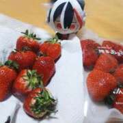 はな ご褒美 夜這専門発情する奥様たち 谷九店