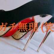 ヒメ日記 2026/02/28 13:20 投稿 はな 夜這専門発情する奥様たち 谷九店