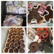 ヒメ日記 2025/01/16 21:14 投稿 佐々波エヴァ Mrs.Dreamer