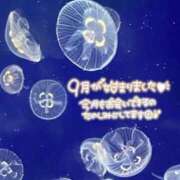 ヒメ日記 2023/09/01 09:22 投稿 あんり 甲府人妻隊