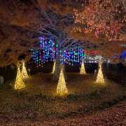 ヒメ日記 2024/12/24 10:21 投稿 あんり 甲府人妻隊