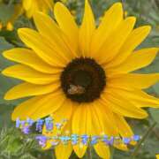 ヒメ日記 2025/02/05 11:54 投稿 あんり 甲府人妻隊