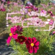 ヒメ日記 2025/02/08 11:26 投稿 あんり 甲府人妻隊